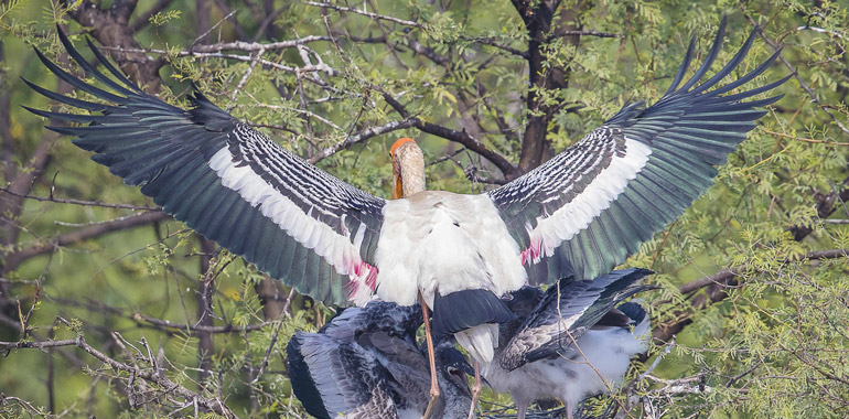 Photo Safari 2024 Jay Vandermeer Photography