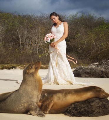 Jay Vandermeer Studios fotografo  Guayaquil Quito Ecuador